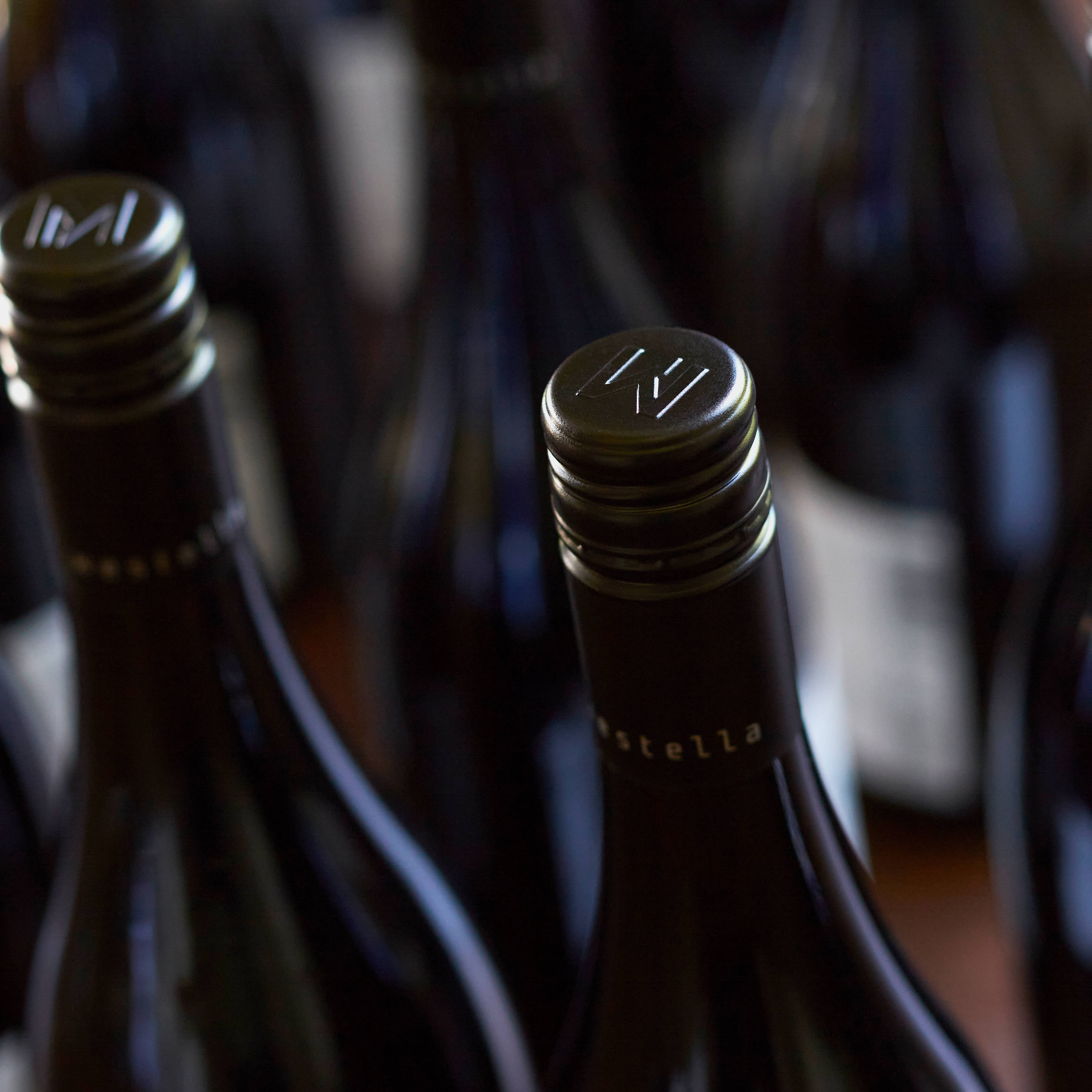 The top detail of Westella wine bottles, an embossed W. Photo: Renee Hodskiss.